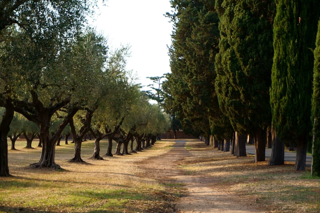 Appia Antica, Rome