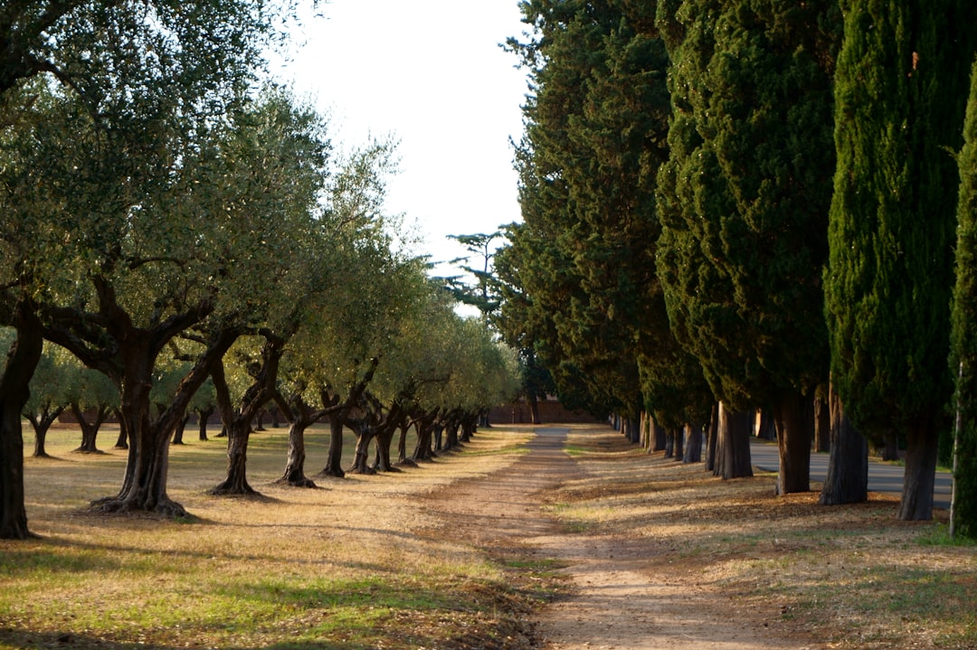 Appia Antica